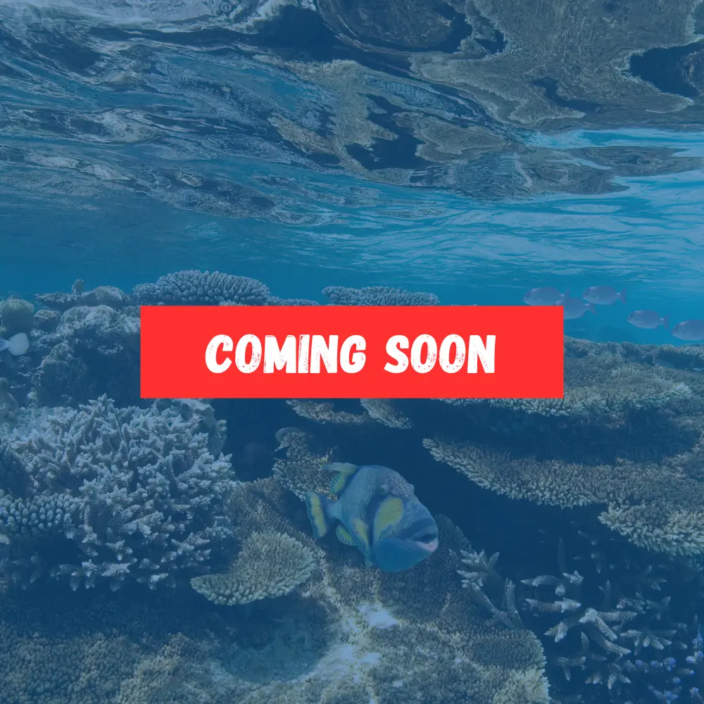 Elba Reef